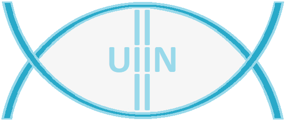اتحادیه نخبگان ایران (UIIN)
